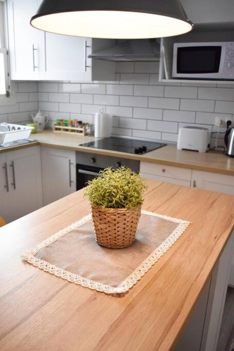 Departamento Centrico Para Disfrutar En Familia Sagunto Exterior foto